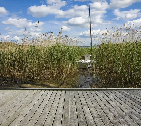 Sailboat among reeds — Stock Photo, Image
