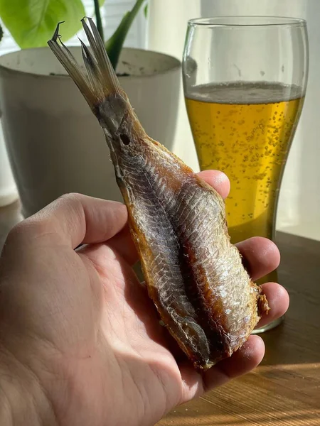 Peixe Seco Para Cerveja Lanche Para Cerveja Foto Alta Qualidade — Fotografia de Stock