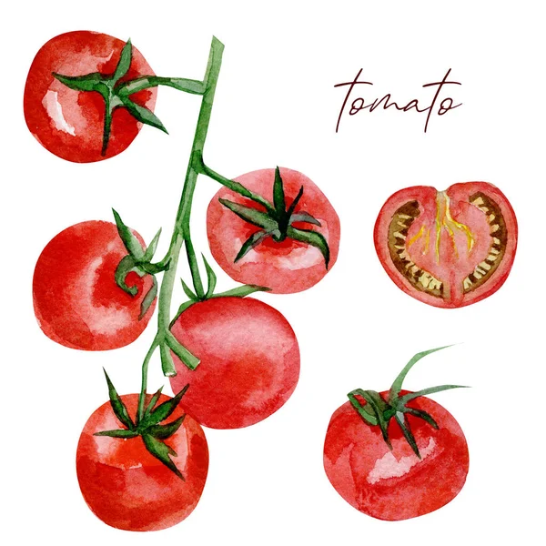 Akwarela Wegetariańskie Jedzenie Ręcznie Malowane Pomidory Warzywne Menu Projektowego Blog — Zdjęcie stockowe