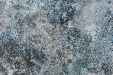 Mavi küflü eski ve kirli beton duvar. Doku arka planı. Keskin resim