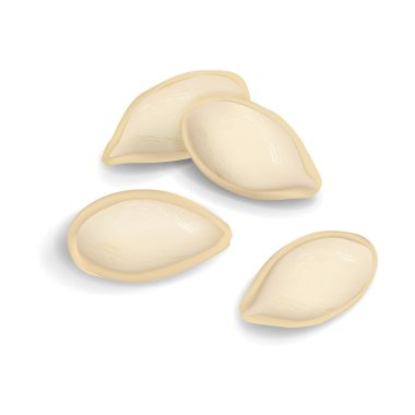 Gerçekçi vektör çizimi. Beyaz arkaplanda kabak çekirdeği simgesi izole.