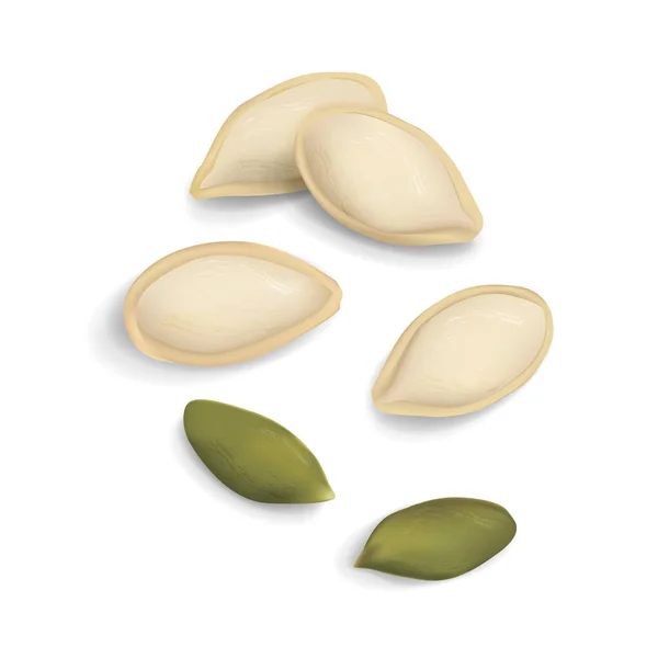 Realistic Vector Illustration Pumpkin Seeds Icon Isolated White Background — Vetor de Stock