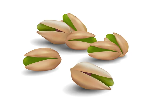 Vector Realistic Illustration Pistachio Nuts Isolated White Background Icon Set — Stock Vector