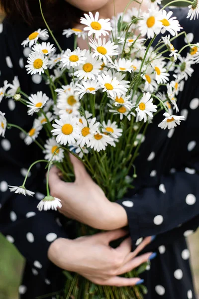 Puantiyeli siyah elbiseli bir kız iki eliyle bir buket papatya çiçeği tutuyor. arkaplan resmi için dikey fotoğraf