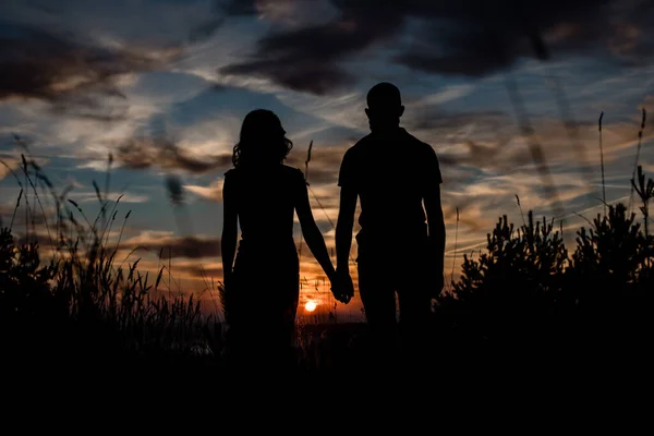 a couple in love holding hands against the background of a beautiful sunset. couple silhouette