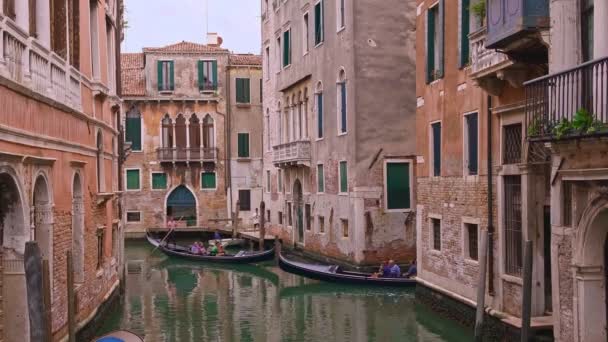 Gondel gaat overdag naar beneden, Venetië, Italië. Gondelaar navigeer boot. Toeristen genieten van rijden en foto 's maken. Middeleeuwse gebouwen, kanaalwater — Stockvideo