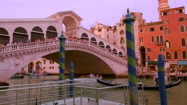 Vista do Grande Canal, Veneza, Itália, e ponte Rialto ou Ponte di Rialto ao pôr-do-sol. Ônibus aquáticos ou vaporettos, gôndolas, barcos passam — Vídeo de Stock