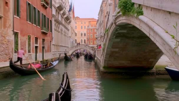 Gondel fahren Kanal am Tag, Venedig, Italien. Gondoliere navigieren Boot. Touristen fahren gern und machen Fotos. Mittelalterliche Gebäude, Kanalwasser — Stockvideo