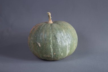 Hasat konsepti - Gri arkaplan resmi üzerinde izole edilmiş yeşil balkabağı kopyalama alanı içerir