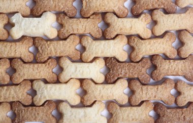 Kemik şekilli kurabiyelerin soyut arkaplanı düzdü