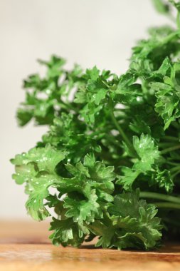 kesme masa kıvrımlı maydanoz