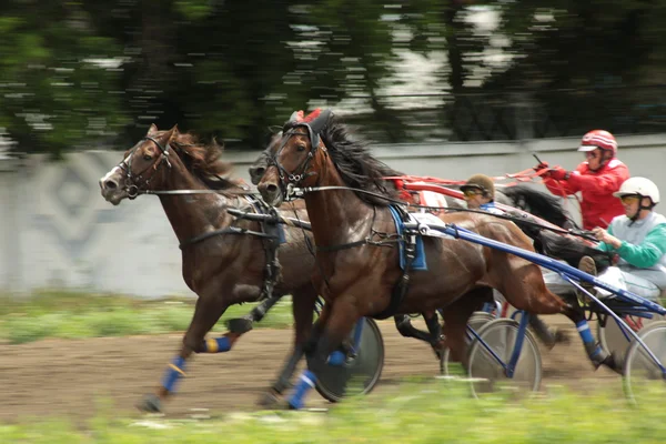 馬のレースの参加者 — ストック写真