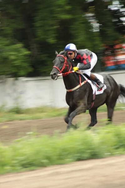 The participant of a show-jumping competition — Stock Photo, Image