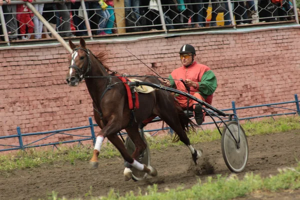Deltagare i en hästkapplöpning — Stockfoto