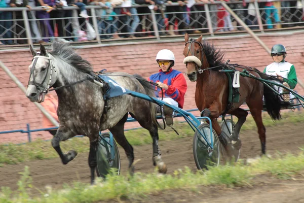 The participant of a horse race — Stock Photo, Image