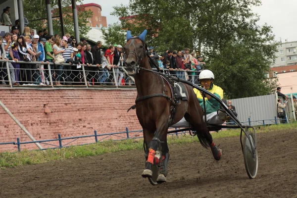 Deltagare i en hästkapplöpning — Stockfoto