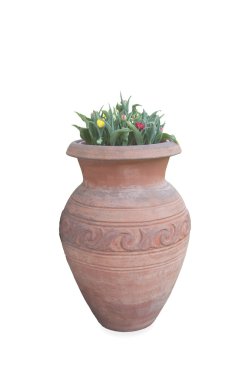 Lale ile açık toprak kap