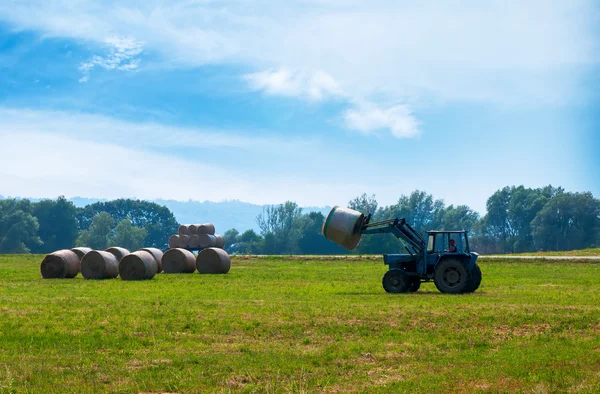 Трактор на поле собирает сено — стоковое фото