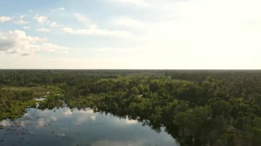Borneo 'daki Mangrove ormanının ve gölün havadan görünüşü, insansız hava aracı tarafından yapılır.