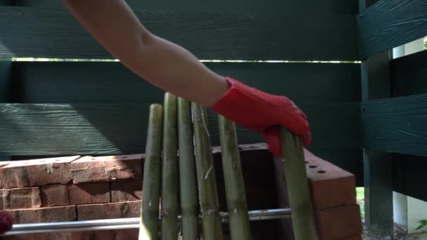 Lemang Yemeği Bir Çeşit Bambu Pilavı Lemang Içi Boş Bambular — Stok video