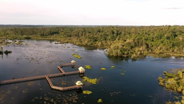 Veduta Aerea Sentiero Legno Sull Acqua Sopra Giungla Tropicale — Video Stock