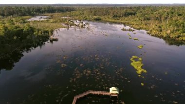 Tropikal ormanın üzerindeki suyun üzerindeki ahşap bir patikanın havadan görünüşü.