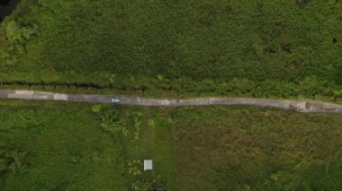 Orman ve yoldaki arabanın hava görüntüsü.