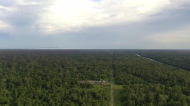 Orman tepe örtüsünün havadan görünüşü