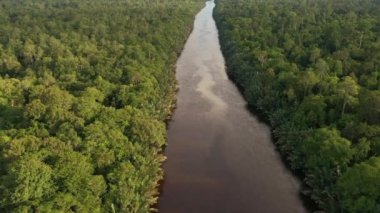 Güneydoğu Asya 'daki nehrin güzel doğal manzarası tropikal yeşil orman, insansız hava aracı manzarası.
