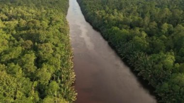 Güneydoğu Asya 'daki nehrin güzel doğal manzarası tropikal yeşil orman, insansız hava aracı manzarası.