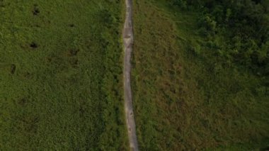 Yollu yeşil orman, arka planda hava manzarası.