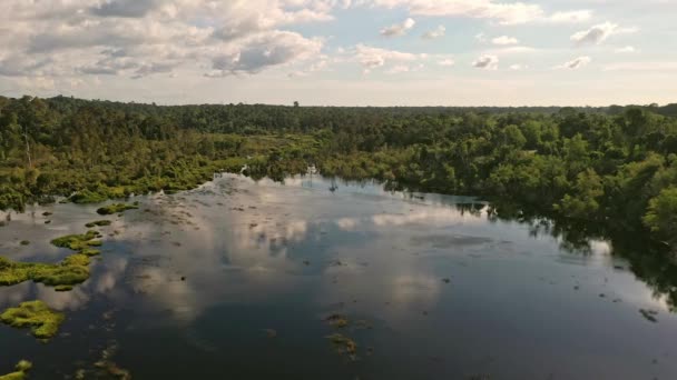 Een Luchtfoto Van Een Meer Boven Tropische Jungle — Stockvideo