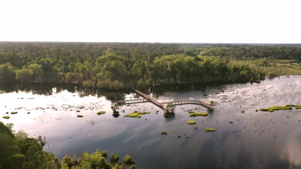 Veduta Aerea Sentiero Legno Sull Acqua Sopra Giungla Tropicale — Video Stock