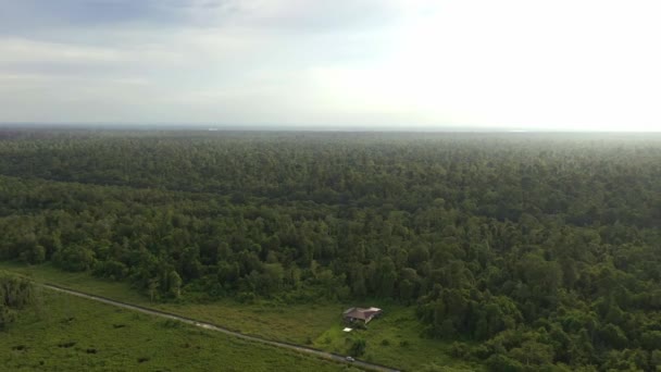 家と森のジャングルキャノピーの空中ビュー — ストック動画