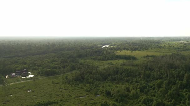 Evin Ormanın Havadan Görünüşü — Stok video