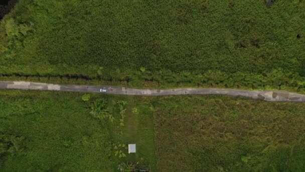 Orman Yoldaki Arabanın Hava Görüntüsü — Stok video