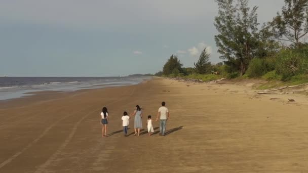 Velká Šťastná Rodina Procházce Pláži Máma Táta Tři Dcery Potěšení — Stock video
