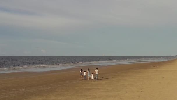 大きな幸せな家族がビーチを歩いています ママとパパと３人の娘 自然とコミュニケーションからの喜び バックビュー — ストック動画