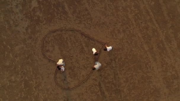 一个亚洲大家庭的空中景象在沙滩上勾起了人们的心弦 童年和假期概念 — 图库视频影像