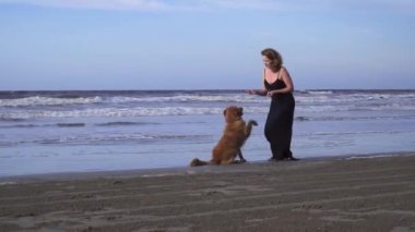 Uzun siyah elbiseli mutlu genç kadın dışarıda labrador köpeğiyle sahilde yürüyor.
