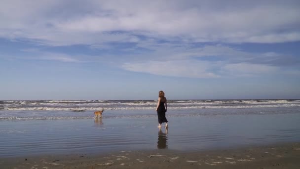 Mujer Joven Feliz Vestido Negro Largo Caminando Playa Con Perro — Vídeos de Stock