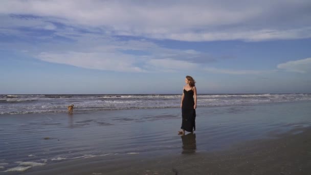 Šťastná Mladá Žena Dlouhých Černých Šatech Chůze Pláži Labrador Pes — Stock video
