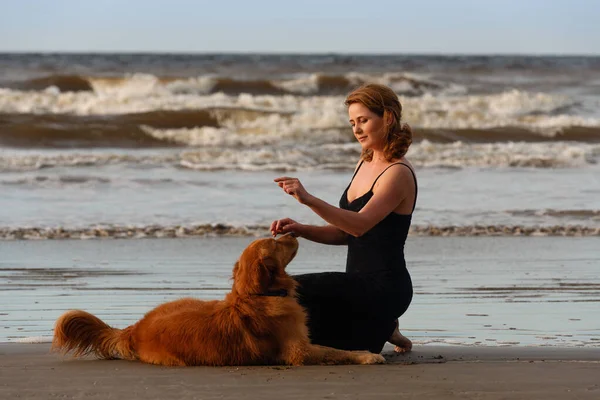 在海滩上和她的狗玩耍的年轻女人笑着 — 图库照片