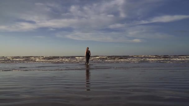 Elegantní Ženy Dlouhých Černých Šatech Kráčející Pláži Blízkosti Moře — Stock video
