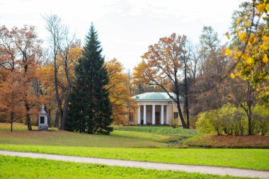 Renkli yapraklı yerel sonbahar parkı