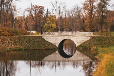 PUSHKIN, RUSSIA - Ekim 2021: Alexander parkında güzel güneşli bir sonbahar günü, Tsarskoye Selo, Puşkin, Rusya