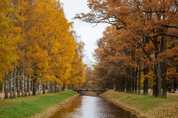 Picturesque View Fall Park Small River — Stockfoto