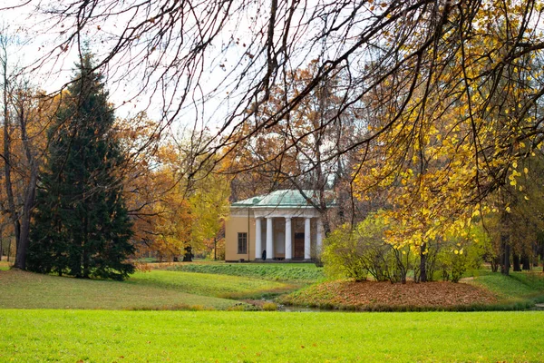 Lokaler Herbstpark Mit Buntem Laub — Stockfoto