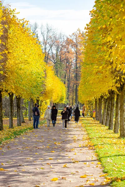 Pushkin Rusia Octubre 2021 Gente Alexander Park Soleado Día Otoño — Foto de Stock