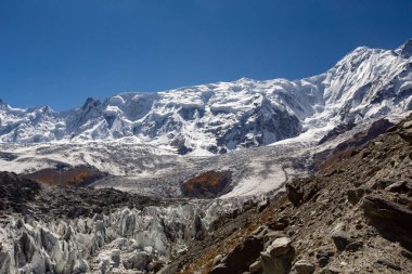 Minapin Buzul dokusu yakın, Rakaposhi dağı, Gilgit, Pakistan